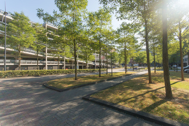 Nederland-Den Bosch-Jeroen Bosch ziekenhuis-31