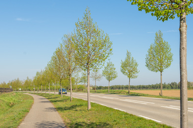 Oeffelt-Heerstraat-Lindes-190419-6