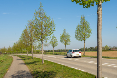 Oeffelt-Heerstraat-Lindes-190419-8