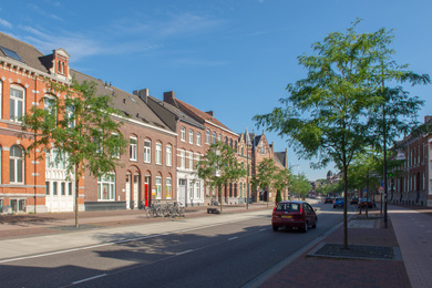 Roermond-Godsweerdersingel-gleditsia-33