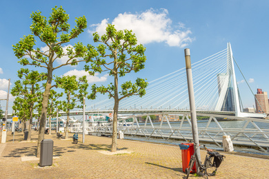 Rotterdam-Erasmus brug gebied-210607-11