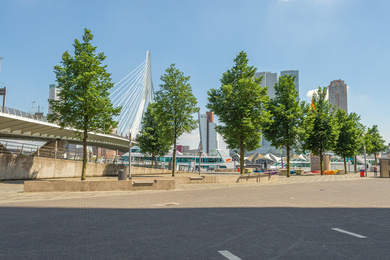 Rotterdam-Erasmus brug gebied-210607-4