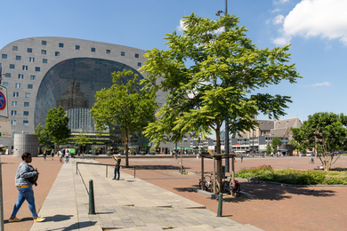 rotterdam-markthal-gebied-200713-3