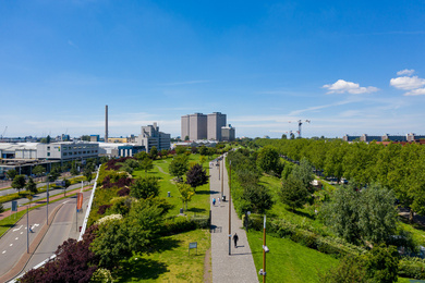 rotterdam-vierhavenpark-dakpark-200713-1