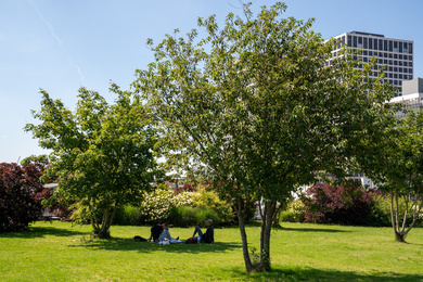 rotterdam-vierhavenpark-dakpark-200713-29