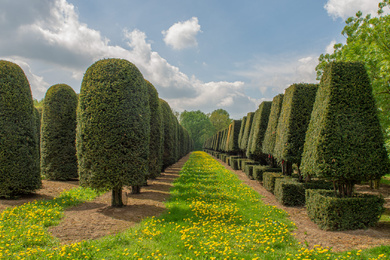 TABACCAT-topiary-mix-2