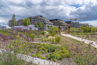 Utrecht-Hof van Boedapest-220727-33