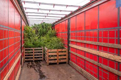 Vrachtwagen geladen met palletboxen heesters-210721-1