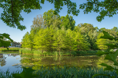 Waalwijk- Halve zolen park-210607-114