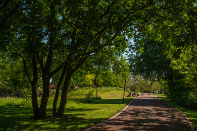 Waalwijk- Halve zolen park-210607-278