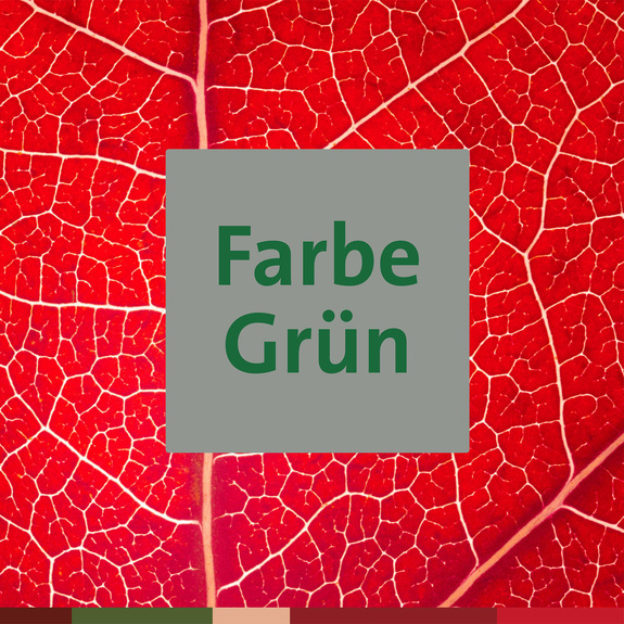 Farbe Grün