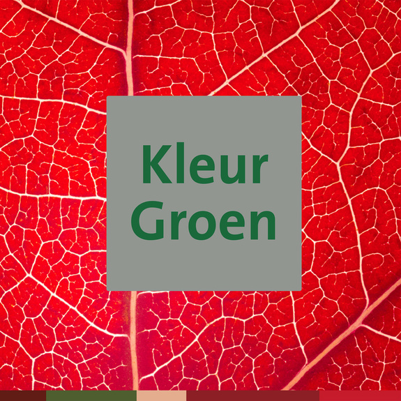 Boek Kleur Groen