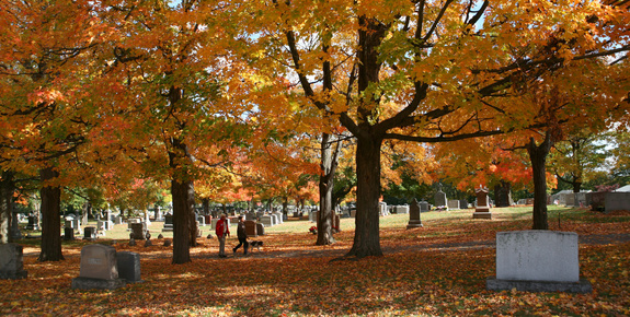 Trees at Cemetaries