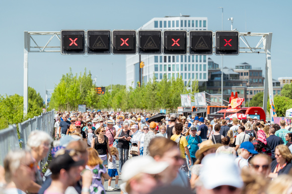 Bomen als opslag voor CO2