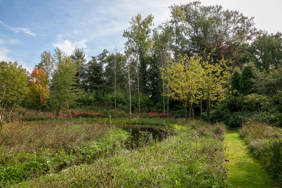 Bevorder de biodiversiteit met bomen