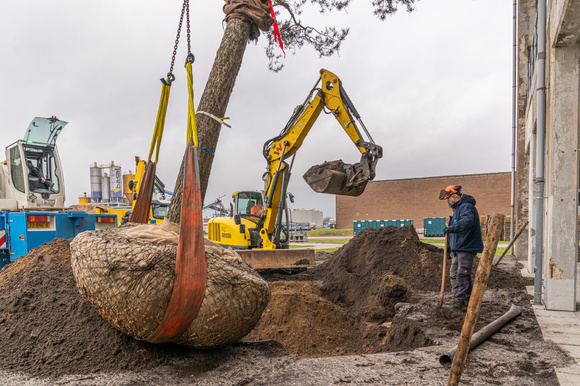 Lossen met een laadband