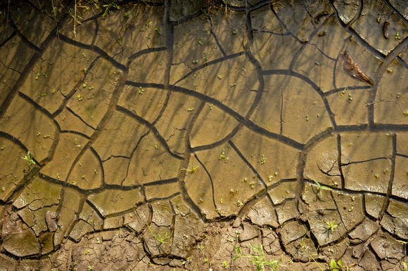 Bewateren is maatwerk