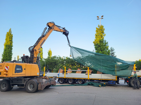 Bomen en een betere luchtkwaliteit