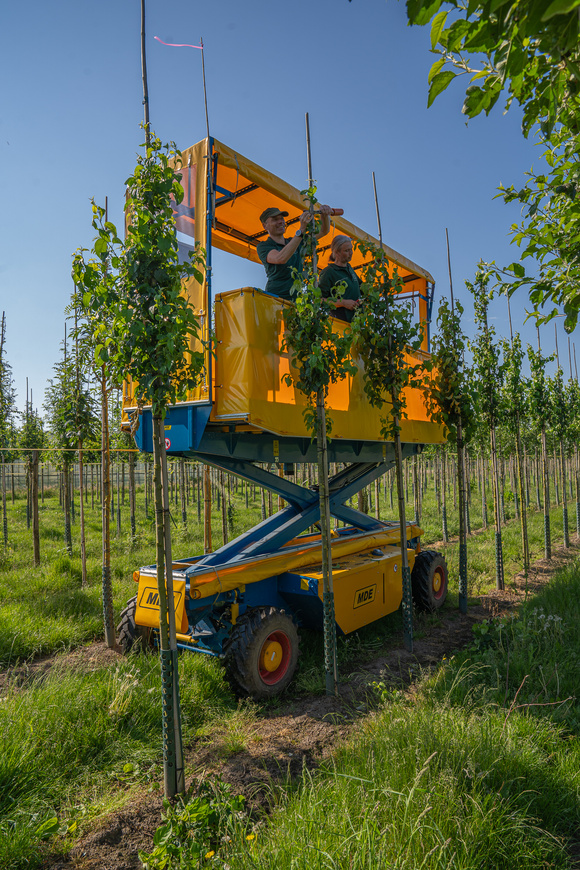 Waarom een kwekerij?