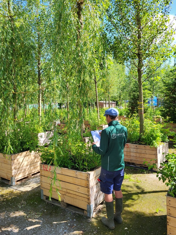 Controleren ziekten en plagen