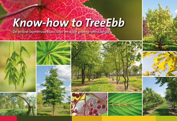 TreeEbb guide