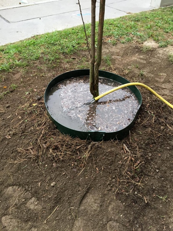 De juiste hoeveelheid water