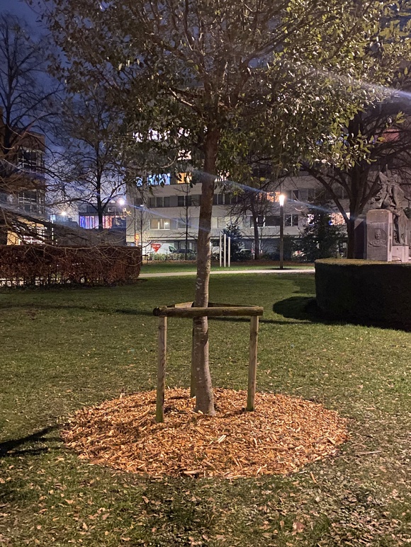 Above-ground anchoring