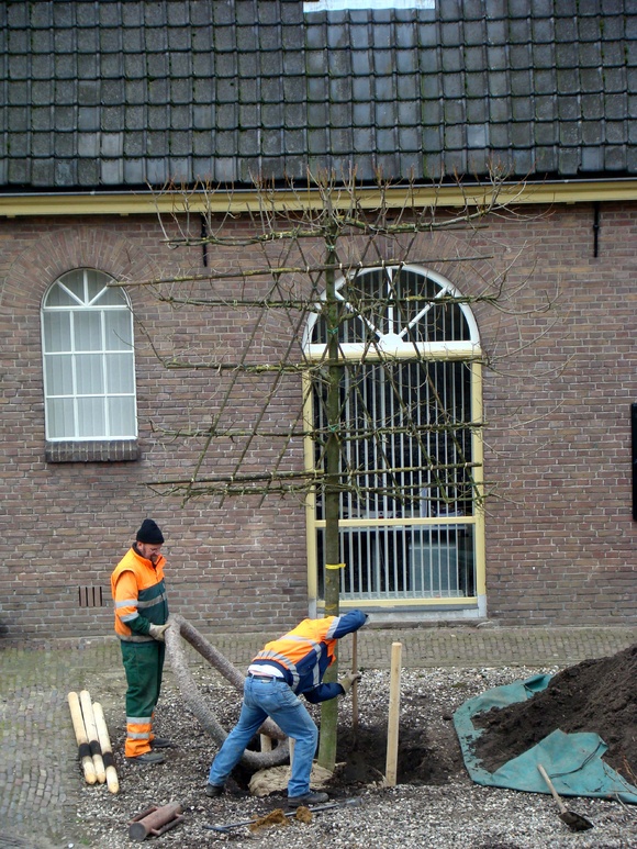 Het plantseizoen