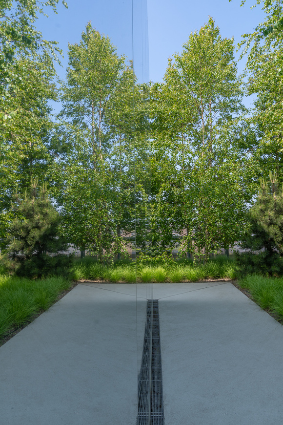 Het beplantingsplan voor bomen