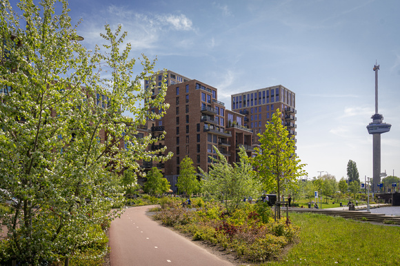 Climate trees