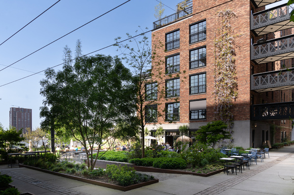 Grote bomen voor een gezonde stad