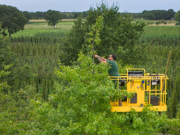 On the way to a permanent canopy