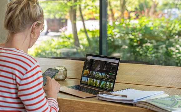 Vind de perfecte klimaatboom