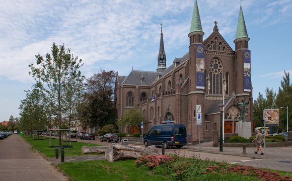 De eerste jaren na aanplant 