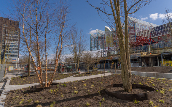 Finishing the planting area