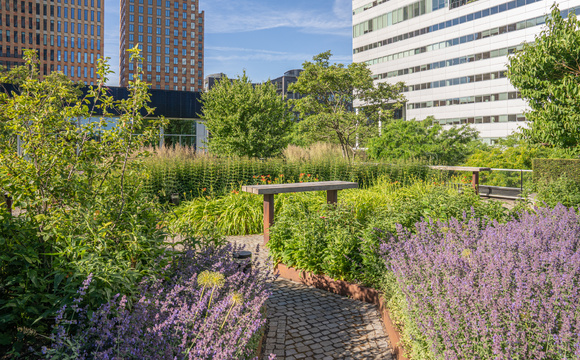 Passende onderbeplanting