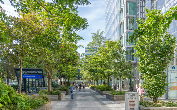 Stadtbäume für die Zukunft