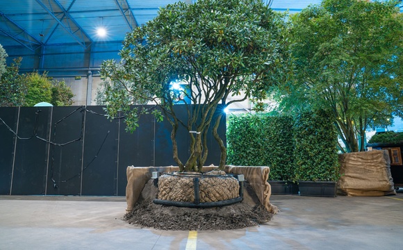 De toepassing van boombunkers