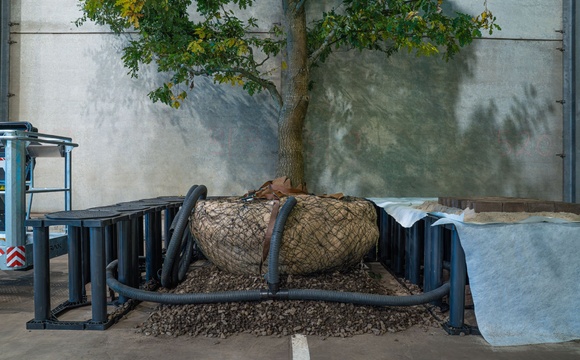 Boombunkers: efficiënte groeiplaatsen voor bomen