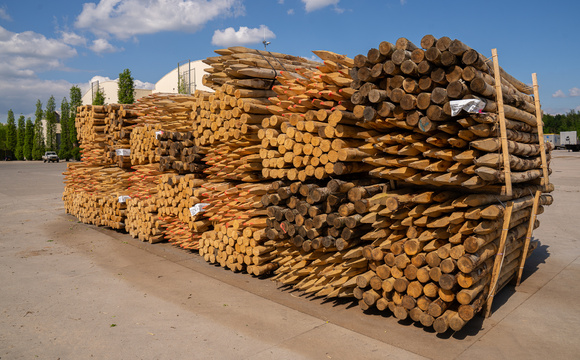 Boompalen kiezen, houtsoort en lengte