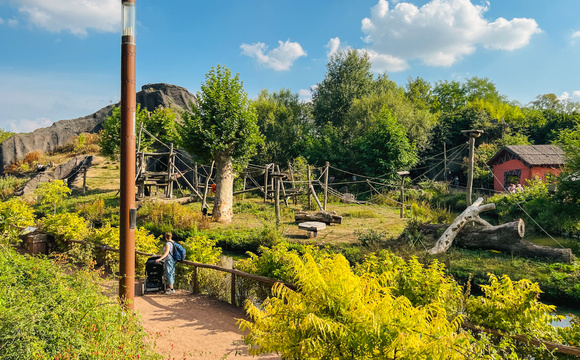 Bomen voor recreatieplaatsen