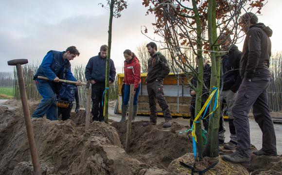 Practical knowledge for green-training students