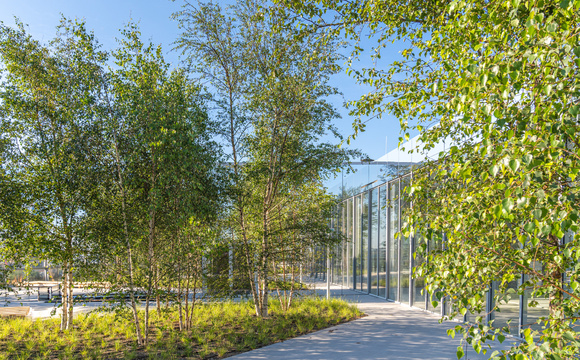 L’arbre approprié sur une toiture