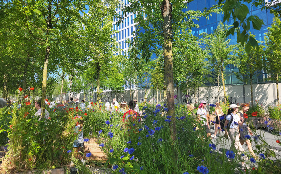 Trees and ecosystem services