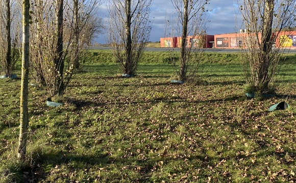 Entfernung des Gießrandes