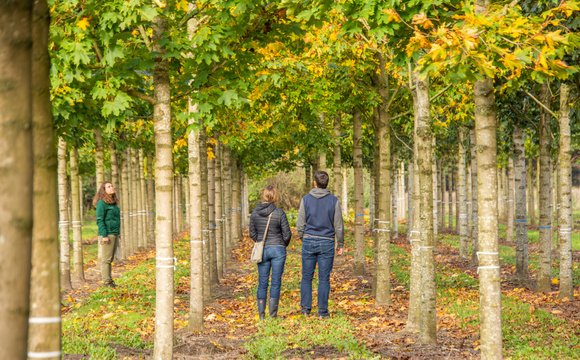 Een bezoek aan de kwekerij, voorbereiding is het halve werk