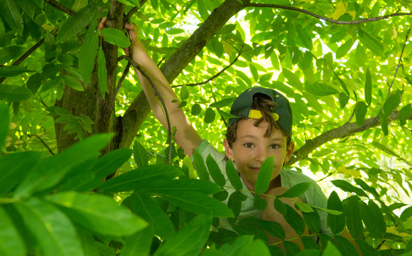 Green classrooms