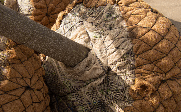 Kluiten voorzien van kokosmat