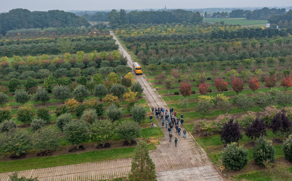 Excursions à la pépinière