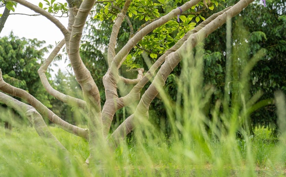 Use of sustainable materials
